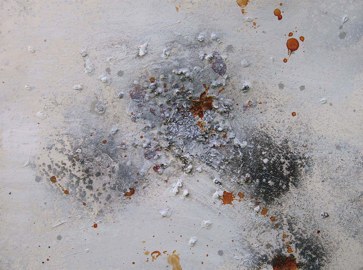 Torrents  exhibition, Francesco Villicich, oil on cavas series
